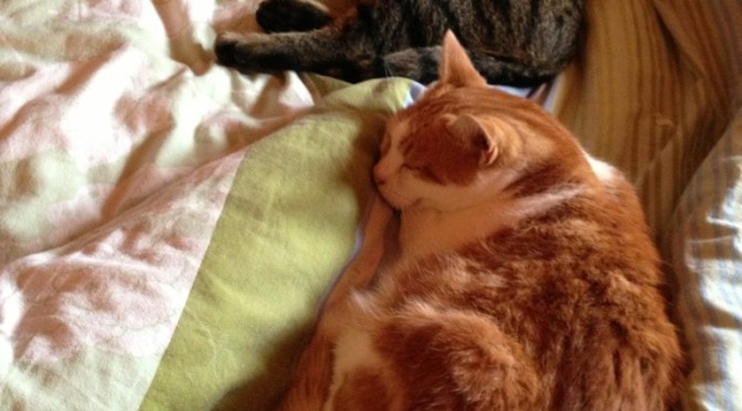 Preparations in full swing