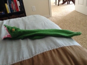 Gator Socke 20131220-162005.jpg