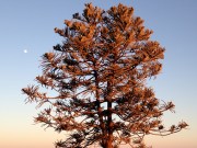 SB Beach Park, close to Sunset
