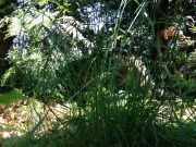 First day back out in the jungle