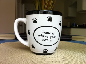 Home is where our cats are