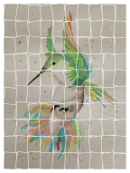 "The Yearning Bird", as my aunt dubbed this picture.