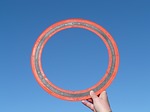 The record frisbee ring