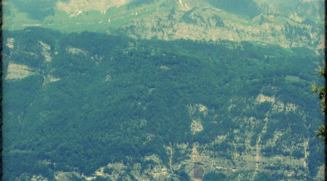 How to Become a Swiss Citizen