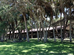 Excavation Site at Bings Landing between Flagler and St. Augustine