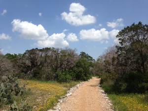 My "private" running trail.