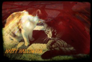 20141031_Happy-Halloween-1