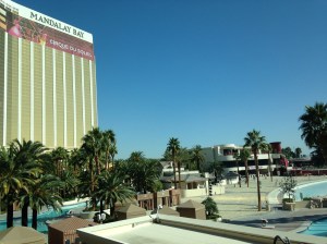 The Mandalay Bay Beach.