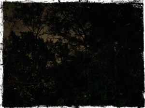 Our new view - by night.