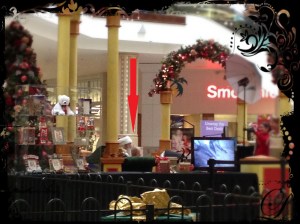 Santa posing for photographs at the shopping mall.