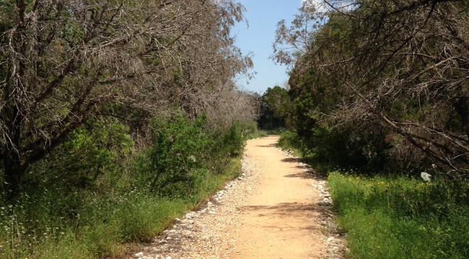 First Encounter With the Species of Shopping Mall Hikers