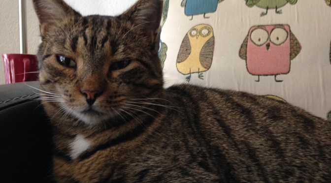 Between Hope and Despair – Or: The Disappearing Act