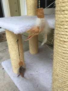 Little birdies or only feathers?