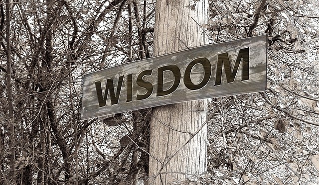 Wisdom of the Week