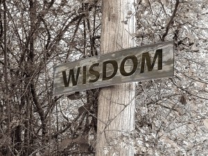 Which Way to Wisdom, Please?