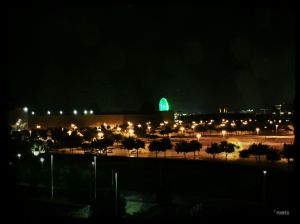 Orlando by night... taken on the very first evening.