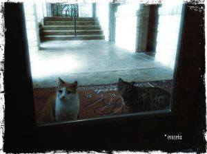 Waiting for mommy outside the gym... so adorable...