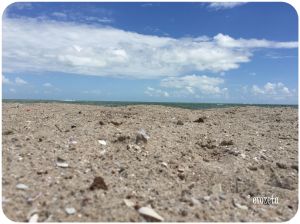 Corpus Christi Beach: Nice view but rough sand.