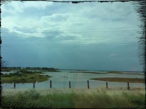 The marshes on our way back towards the mainland... something building up in the distance.