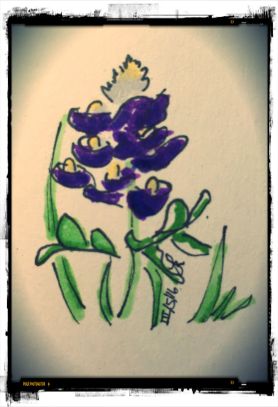 Photo Mar 05, 5 07 40 PM