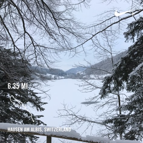 photo-jan-08-3-19-04-pm