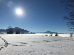 photo-jan-21-2-14-15-pm