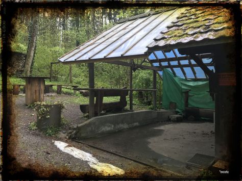 Photo May 01, 4 17 15 PM