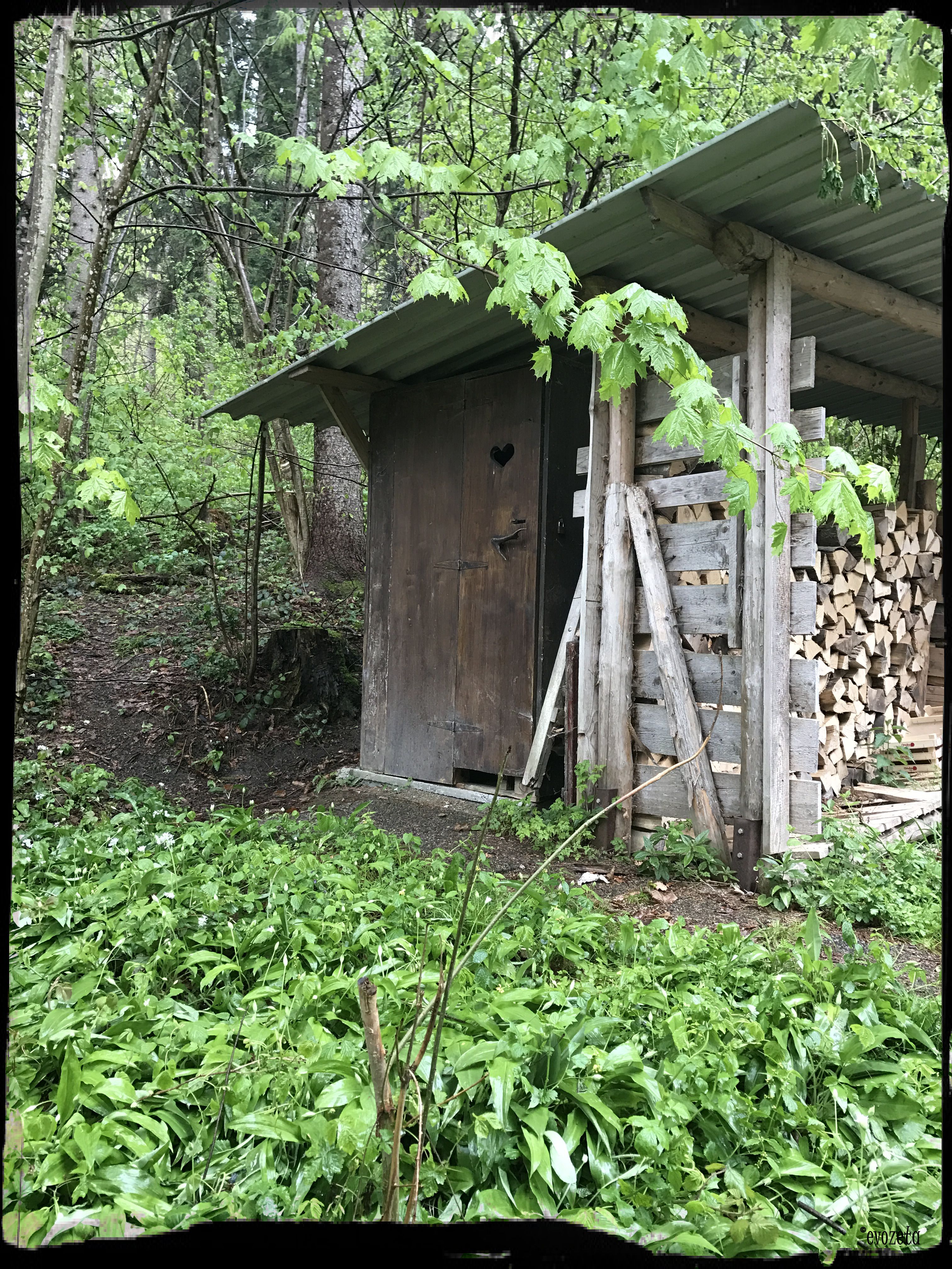 Photo May 01, 4 17 29 PM