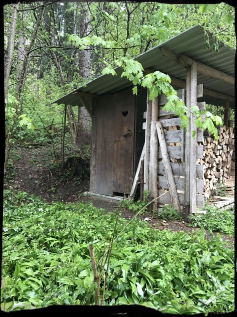 Photo May 01, 4 17 29 PM