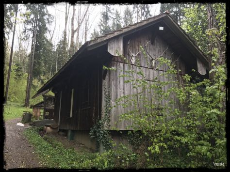 Photo May 01, 4 17 43 PM