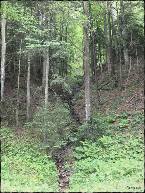 Monday-Hike_03-Deer1