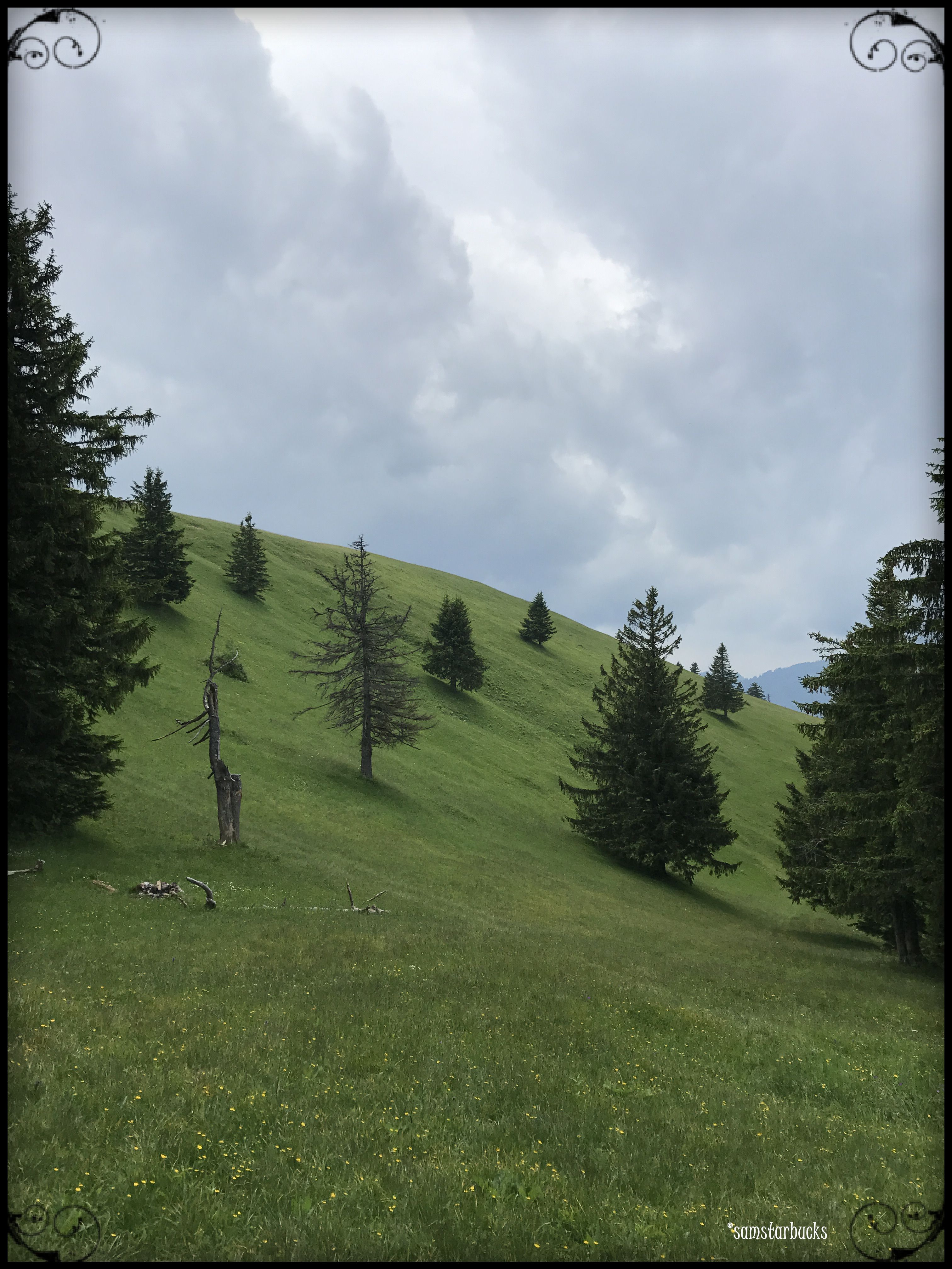 Monday-Hike_10-Fairytaleview