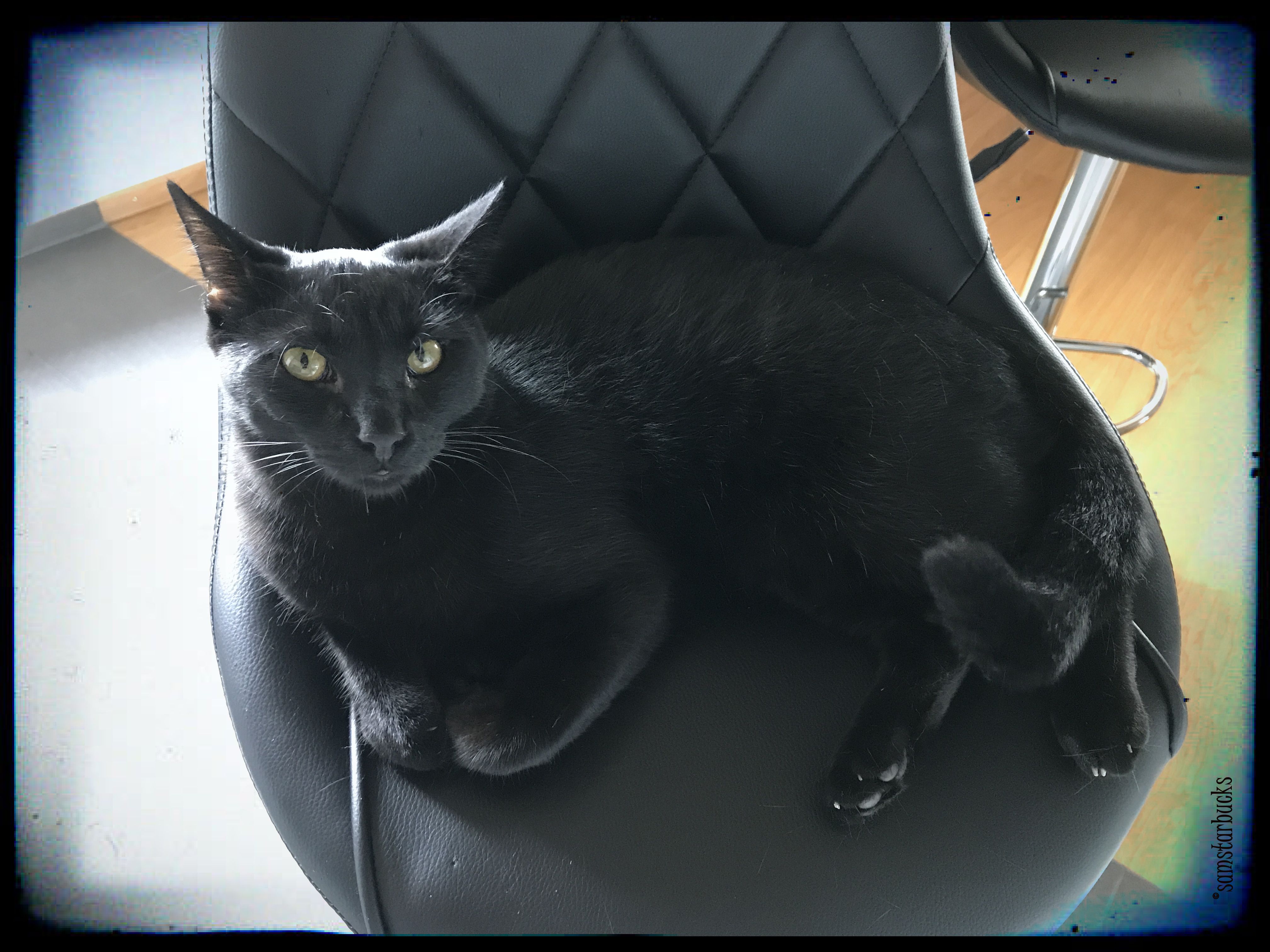 Photo Aug 21, 1 44 29 PM