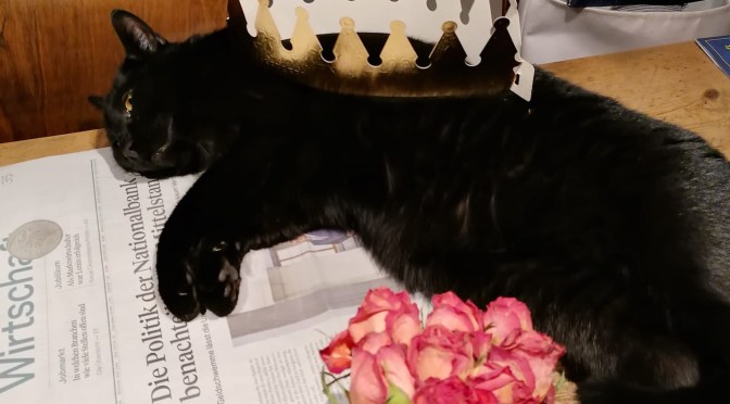 Random Events of Last Week